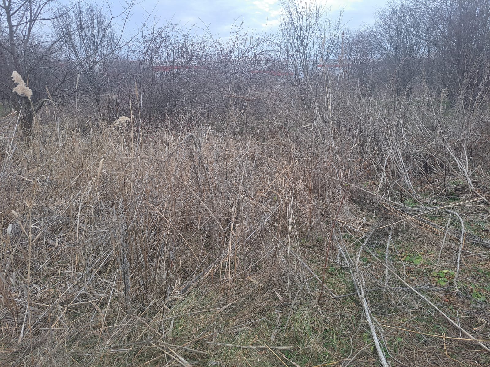 Zona defrisata pentru extindere locuinte 